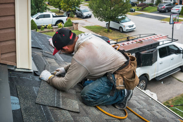 Professional Roofing technician working in Scales Mound, IL
